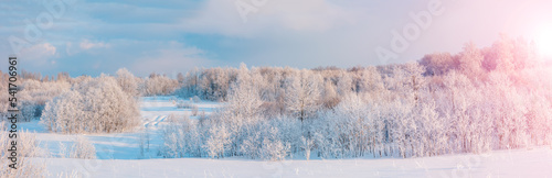 Panoramic view of the white snowy trees in natural park