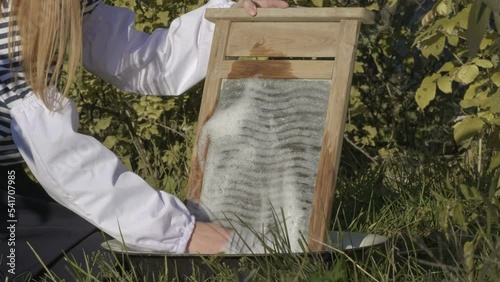 Close-up of a woman's hands washing clothes on old vintage washboard outdoors in summer day. Antique Washboard. Woman washing on a retro washboard. Washerwoman doing laundry by hand photo