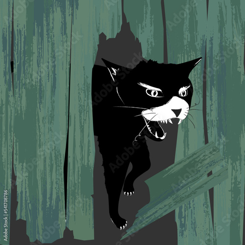Angry black cat out of a hole in the wooden fence