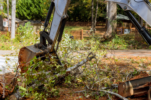 Trees were uprooted by hurricane in neighborhood and fell in street after storm tree were raised with tractor to clean up tree debris.