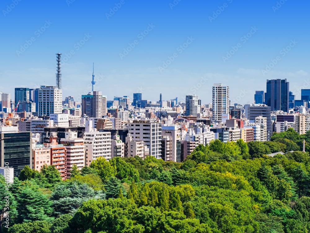 Obraz premium 東京 青空と都市風景