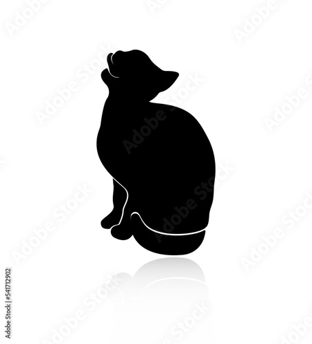 Silhouette of a sitting cat, with a reflection on a white background. The cat licks itself. Tongue out.