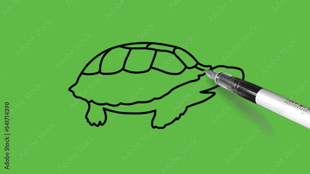 Draw tortoise reptile animal in blue color combination with spotty hard shells and black outline on abstract green background
