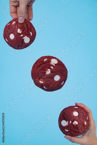 Hands holding chocolate cookies on a blue background, vertical