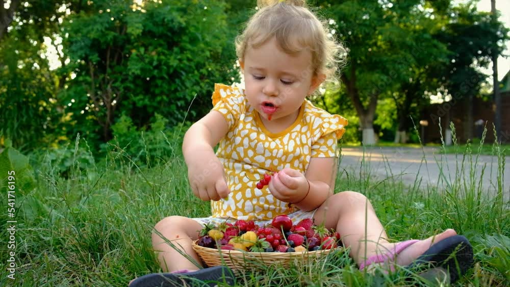 The child eats different berries in the garden. Selective focus. The child eats different berries in the garden. Selective focus.