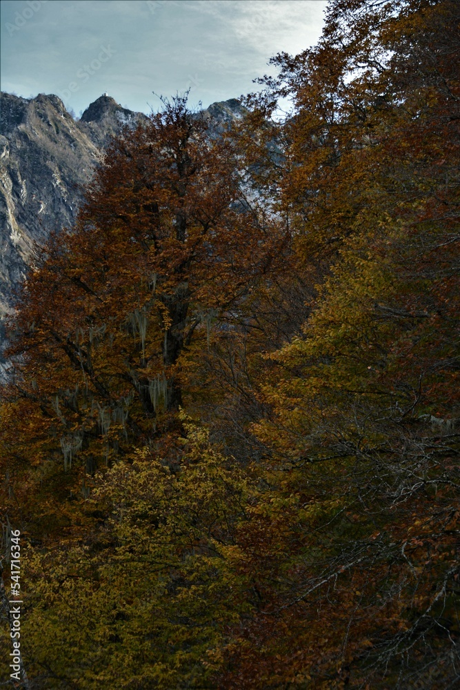 Beautiful autumn mountain landscape Beautiful autumn mountain landscape