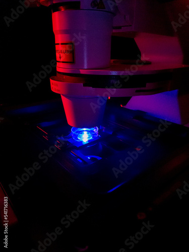 Εκτύπωση καμβά Biological sample illuminated by fluorescence light under high end confocal microscope for disease research purposes