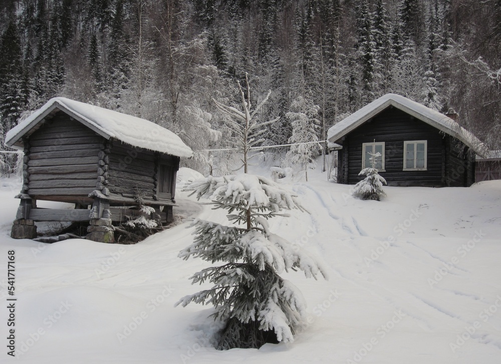 Old wooden norwegian cabin and storage house; `stabbur` in winter. Both are covered with snow.