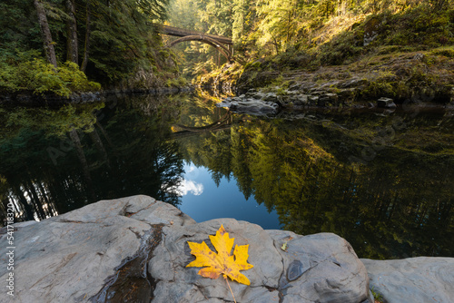 Fairytale forest arch bridge reflections and autumn leaves at Moulton Falls Regional Park, Washington State, Pacific Northwest