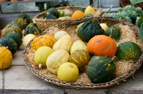 Small pumpkins in weaved baskets for sale on farmers market as decoration in autumn.
