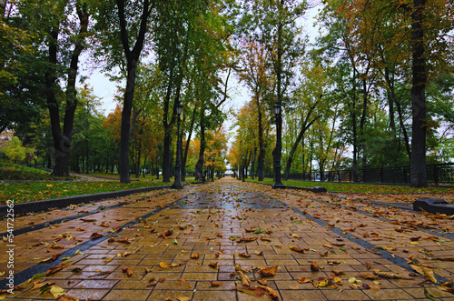 Scenic autumn morning landscape view of Saint Volodymyr Hill. Straight gray stone walkway along the colorful vibrant tree's corridor. Wooden benches along the alley. Fallen orange leaves everywhere