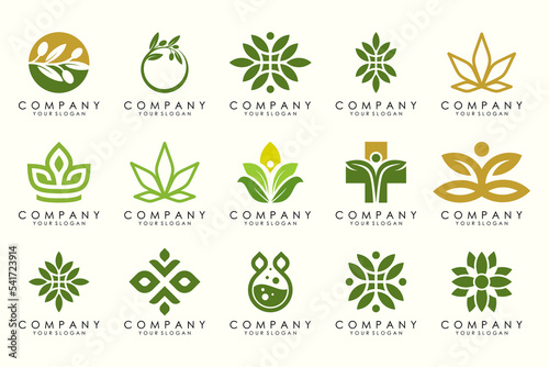 creative leaf and olive oil logo design icon set.