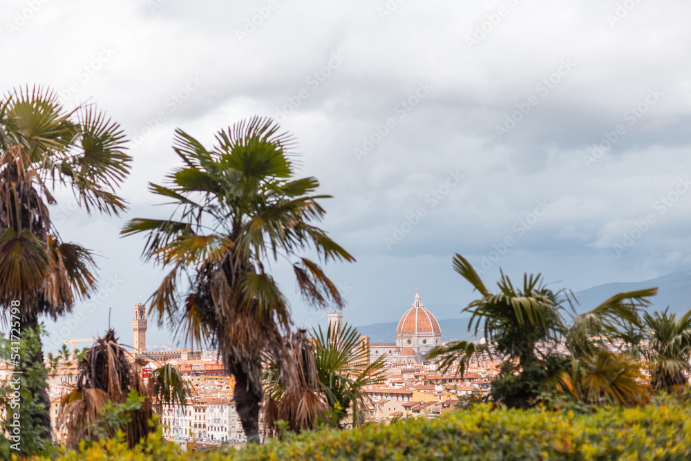 Beautiful vintage green city of Florence with its red roofs of vintage buildings and cathedral. Beautiful palm trees and Florence, Italy