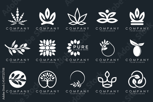 creative leaf and olive oil logo design icon set.