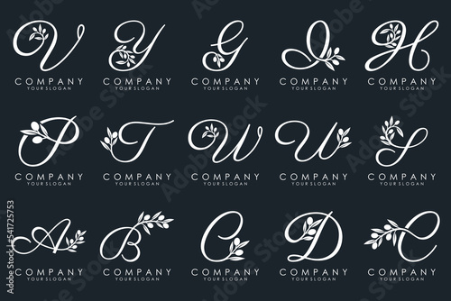 Fotografie leaf combined with letter logo design and icon set