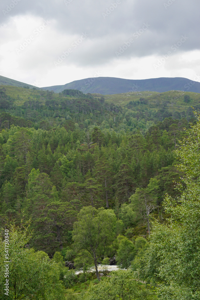 Glen Affric National Nature Reserve, Scotland: Glen Affric, often described as the most beautiful glen in Scotland, contains one of the largest ancient Caledonian pinewoods in the country.