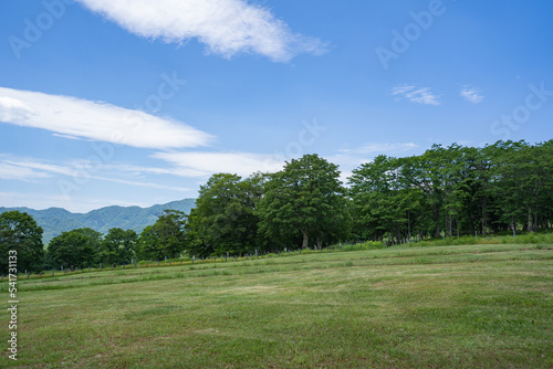笹ヶ峰の遊歩道から見る、牧場の風景