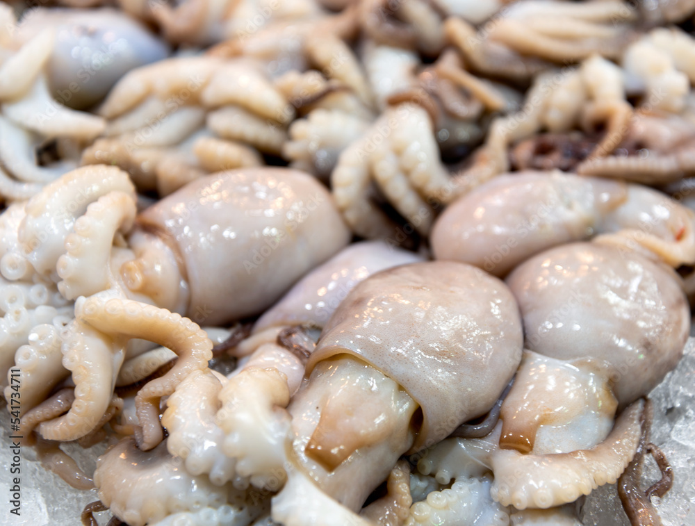 fresh octopus at the fish market fresh octopus at the fish market