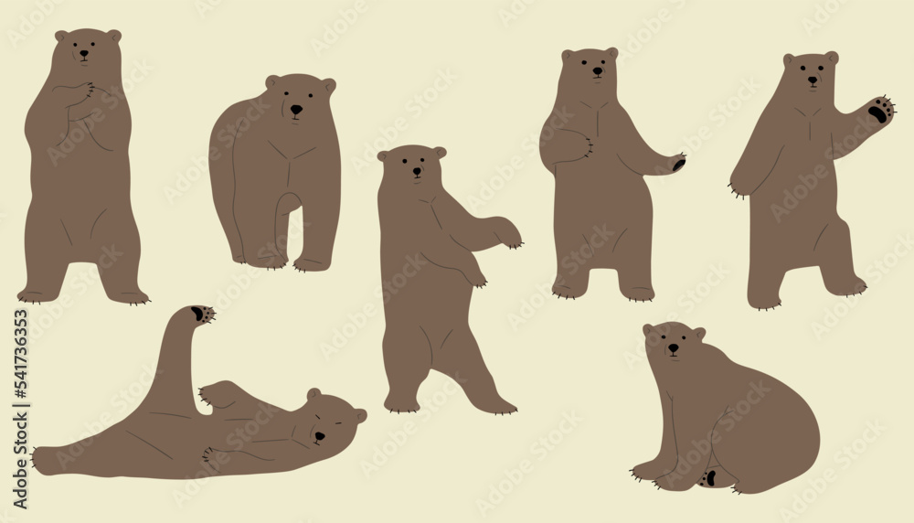 Fototapeta premium grizzly bear cute 3, vector illustration