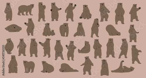 grizzly bear cute collection 1, vector illustration