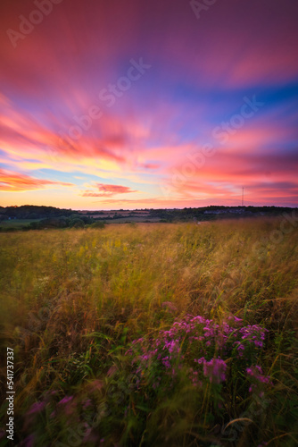  Sunset over prairie grass in Madison, WI