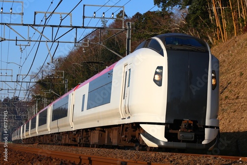 特急電車 成田エクスプレスE259系