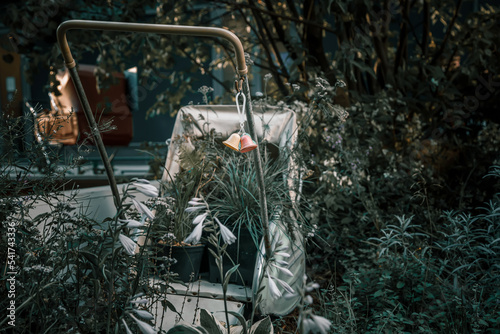 An old abandoned baby carriage. Plants and grass grows from a baby carriage. Ghostly atmosphere.