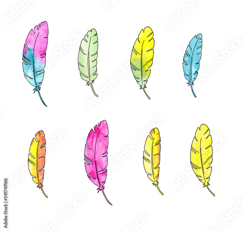Colorful feathers watercolor painting, hand drawn decoration set isolated on white background © justesfir