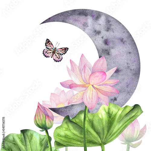 Fototapeta Naklejka Na Ścianę i Meble -  A composition with lotus flowers and a crescent moon painted in watercolor, isolated on a white background.