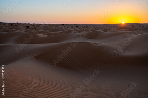 sunrise in the desert  Douz region  southern Tunisia