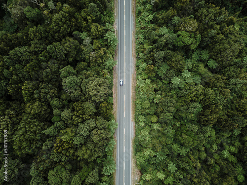 drone view zenithal shot of the straight road with a car going through the dense lush forest next to the green trees, rotorua, new zealand