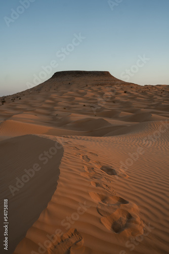 Views of the desert  Douz region  southern Tunisia