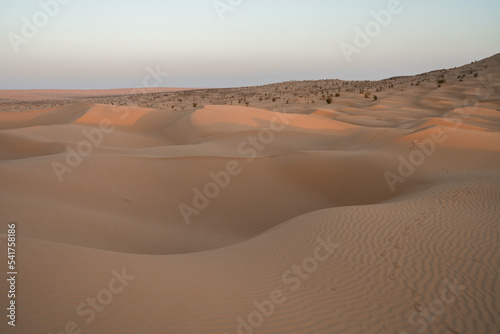 Views of the desert  Douz region  southern Tunisia