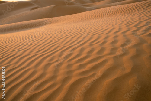 Views of the desert  Douz region  southern Tunisia