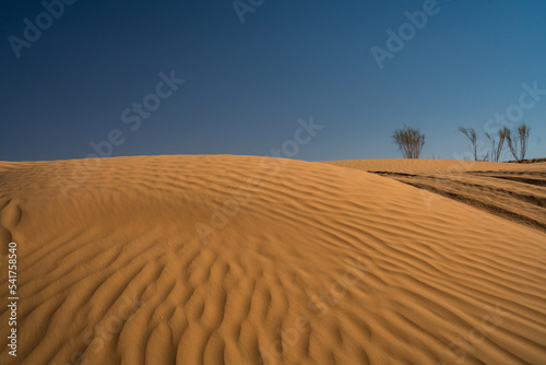 Views of the desert  Douz region  southern Tunisia