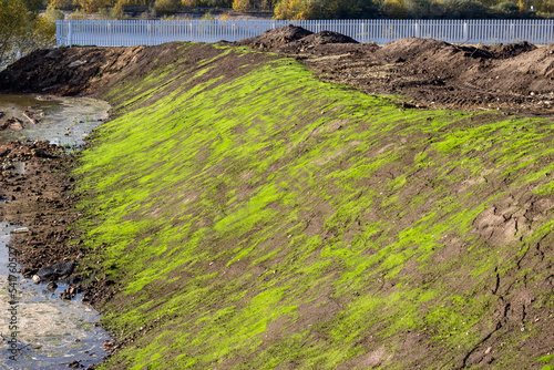 Strengthening the river bank with a geogrid with sowing a liquid lawn photo