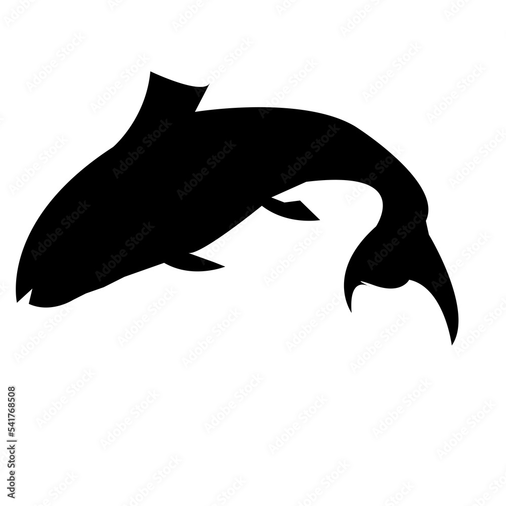 Fototapeta premium silhouette of a dolphin