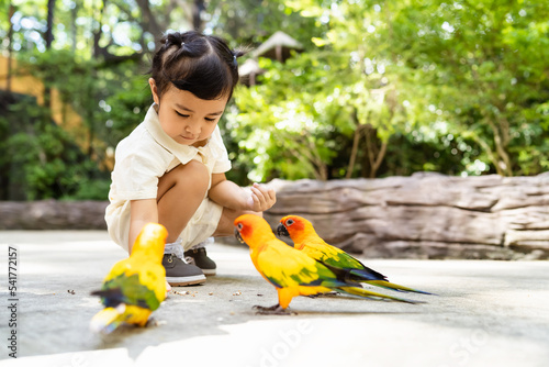 Portrait of an asian little girl feeding birds on hands in the park. photo