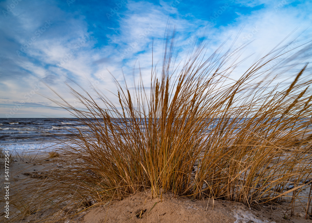 Sandy beach of Baltic sea with dry agrass. Cloudy sky. Sea with waves. Beautiful nature. Sandy beach of Baltic sea with dry agrass. Cloudy sky. Sea with waves. Beautiful nature.
