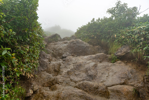 雨の日の岩だらけの登山道