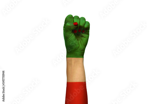 Woman’s Hand raised in protest. Painted with the colors of the Iran Flag