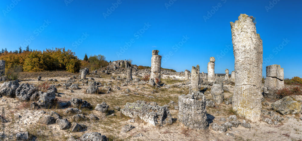 panorama landscape of the Stone Forest in the Pobiti Kamani desert near Varna