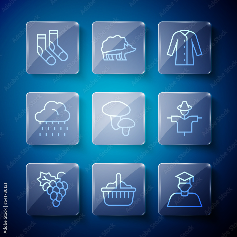 Set line Grape fruit, Basket, Graduate and graduation cap, Raincoat, Mushroom, Cloud with rain, Socks and Scarecrow icon. Vector