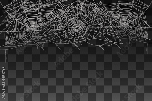 Spider spooky web decoration for background vector illustration on transparent b Fototapet