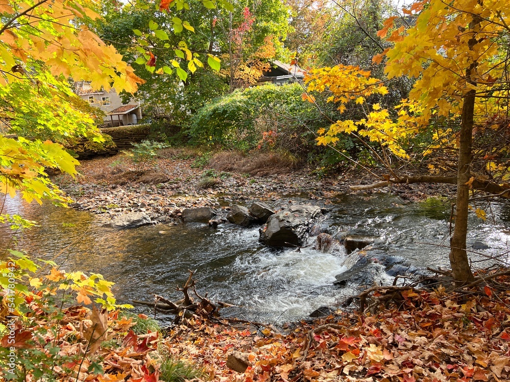 Brilliant autumn foliage in colors of yellow, brown and orange surround a small stream with rushing water flowing over the rapids near Kentville, Nova Scotia.
