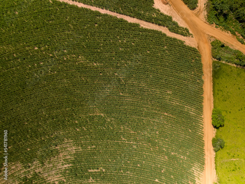 Imagens aéreas da cidade Termas de Ibirá, localizada na região Oeste do Estado de São Paulo, com aguás ricas em vanádio, o que auxilia a saude das pessoas photo