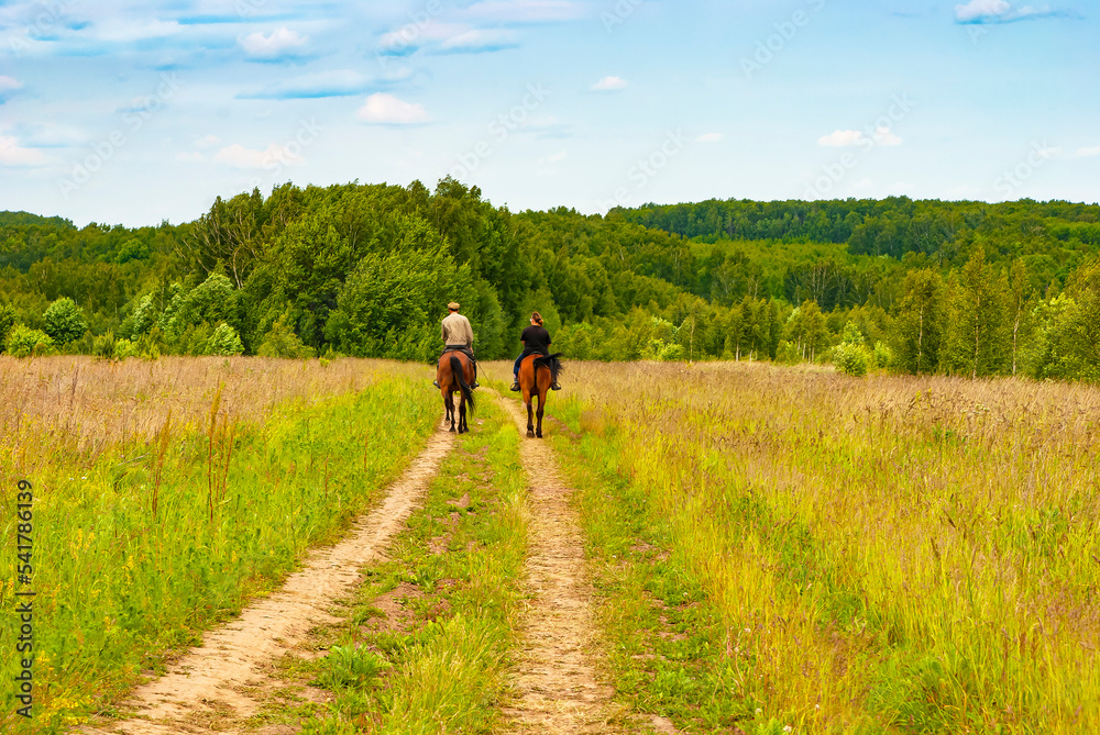 Moscow region. Russia. A walk of young people on horseback through the field towards the forest