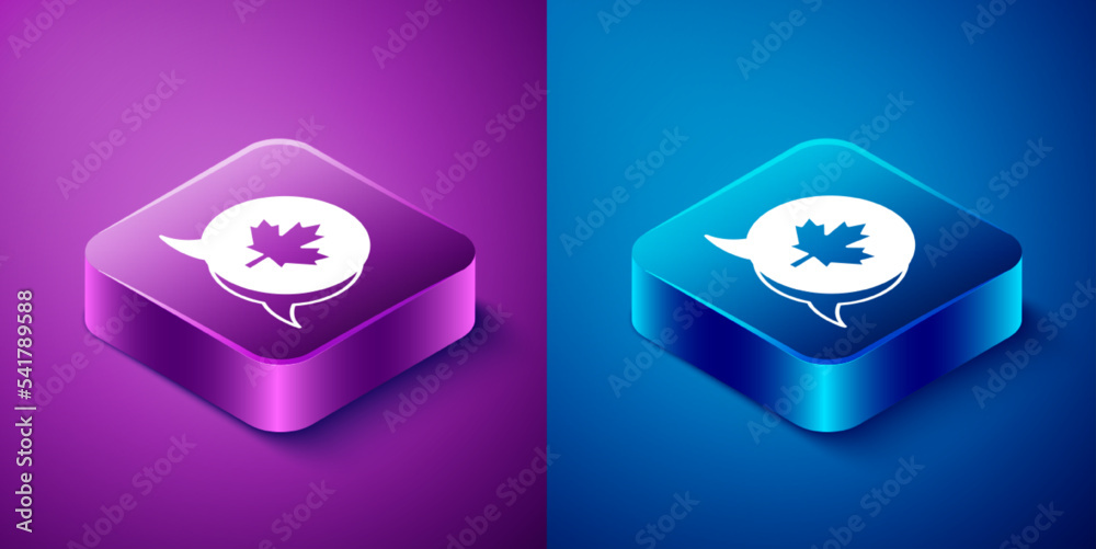 Isometric Canadian maple leaf icon isolated on blue and purple background. Canada symbol maple leaf. Square button. Vector