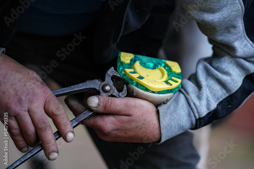 Man farrier installing plastic horseshoe to hoof. Closeup up detail to hands holding animal feet and metal tongs