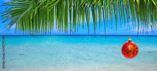 New Year background with palm tree branch and Christmas ball.
